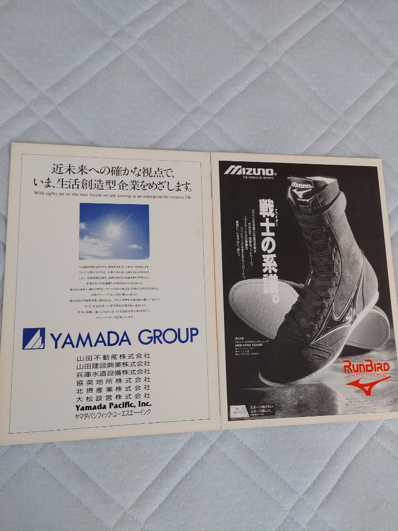 辰吉丈一郎VS レイパショネス・ホセR ベガヒル　ボクシングパンフレット２冊