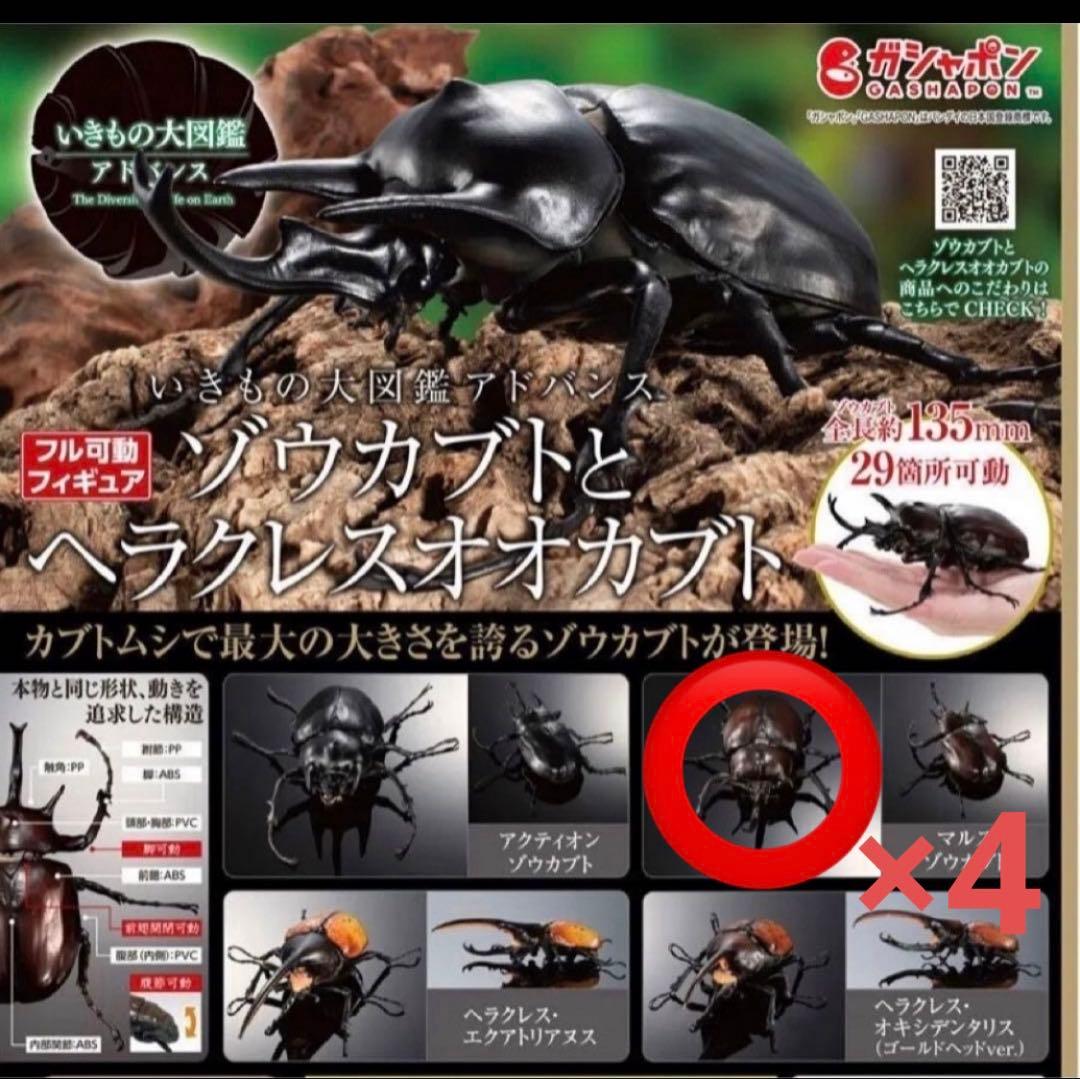 いきもの大図鑑アドバンス　マルスゾウカブト　4体セット　フィギュア　ガシャポン