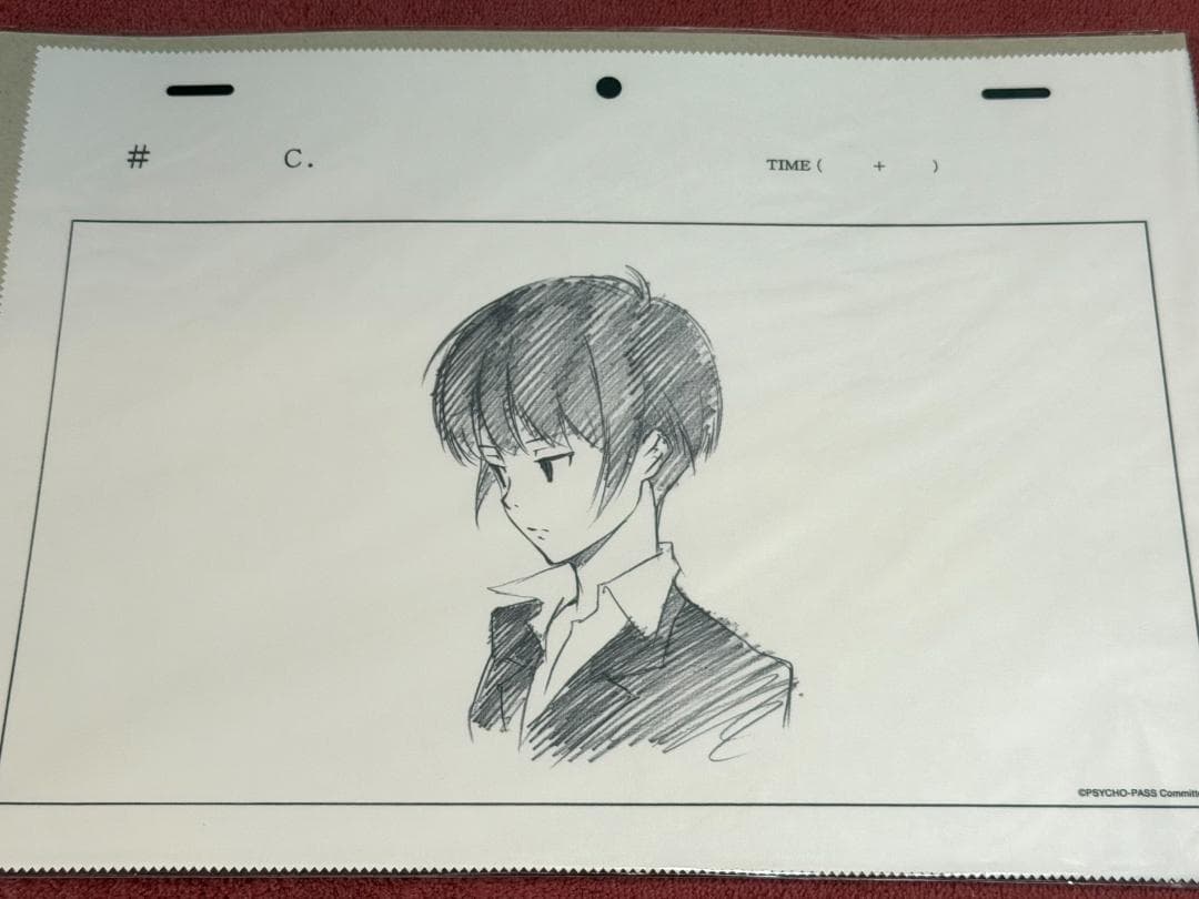 PSYCHO-PASS サイコパス A3 クリーナークロス 狡噛慎也 常守朱
