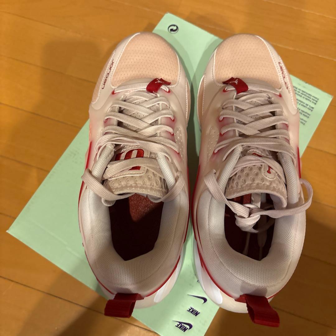 シューズ(男性用) JORDAN HEIR PF PINK/ VERSITY RED