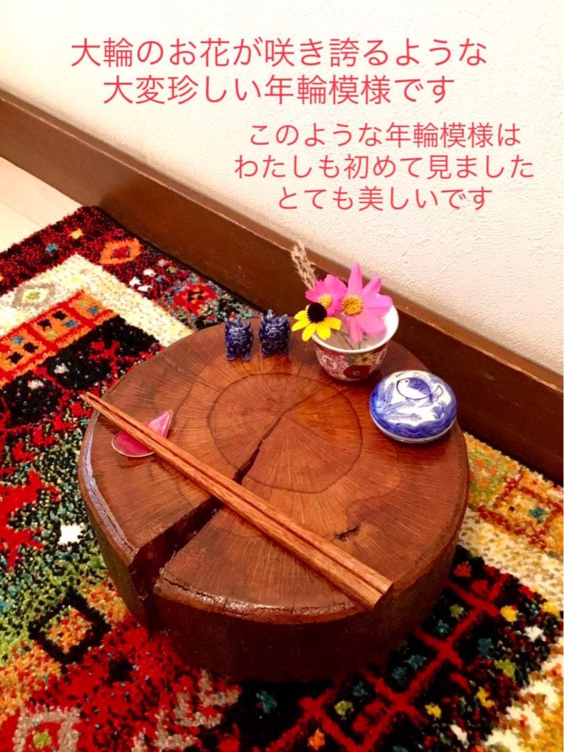天然樫の木＊珍しいお花の年輪模様【森のほっこり切り株ミニテーブル】ちゃぶ台