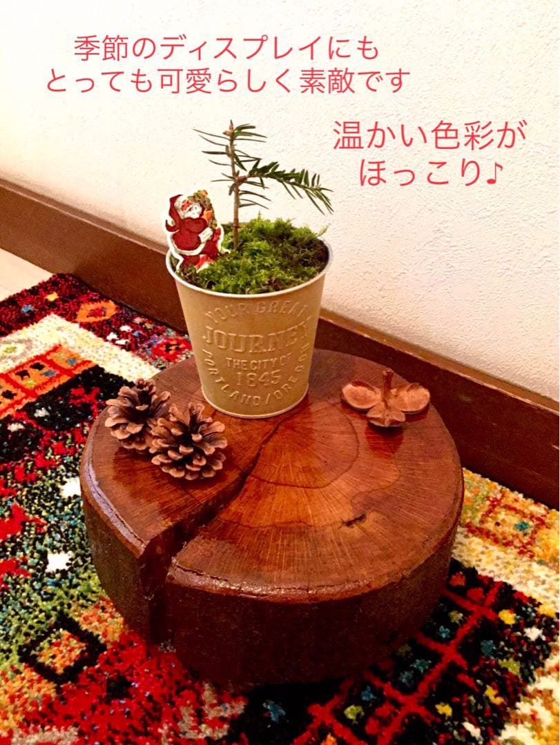 天然樫の木＊珍しいお花の年輪模様【森のほっこり切り株ミニテーブル】ちゃぶ台