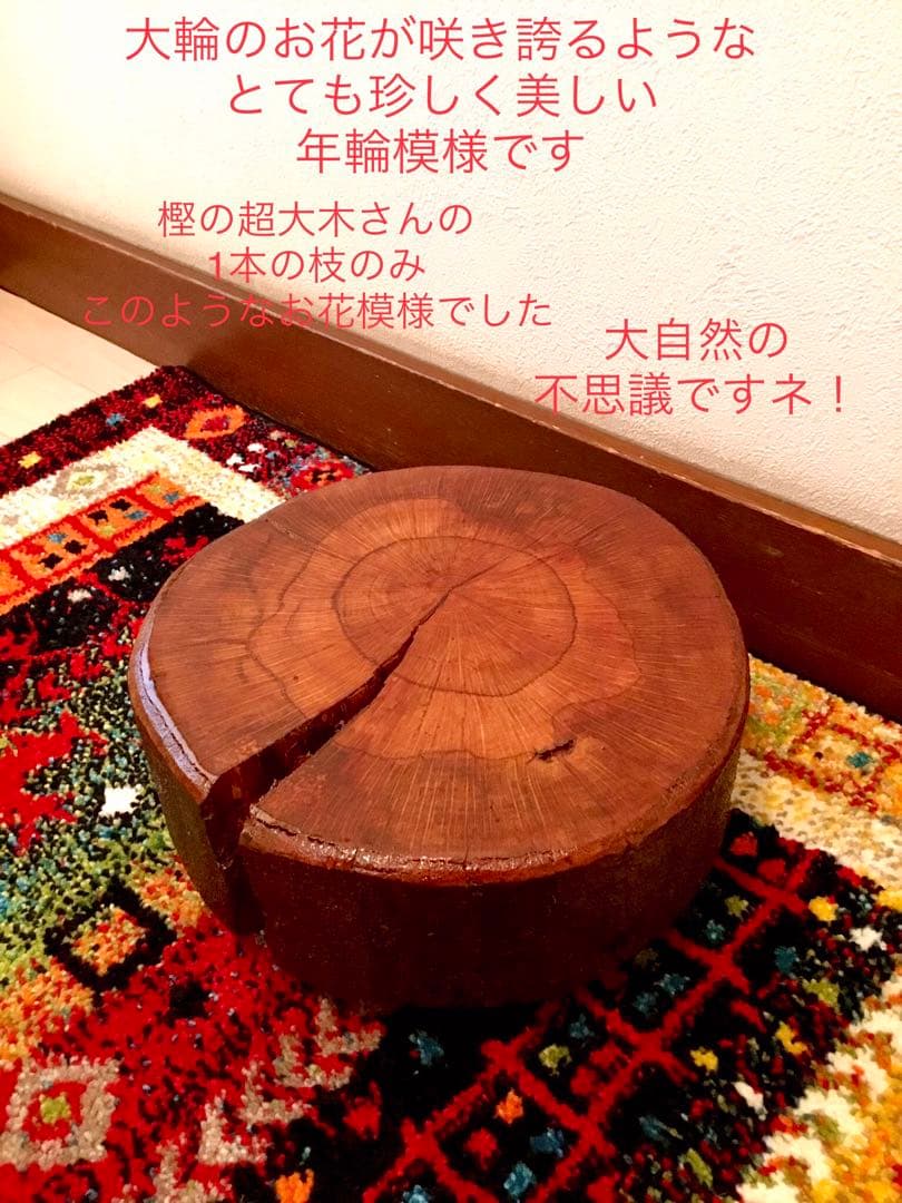 天然樫の木＊珍しいお花の年輪模様【森のほっこり切り株ミニテーブル】ちゃぶ台