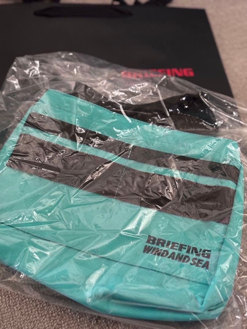 BRIEFING WIND AND SEA バッグ 水色 レア　新品