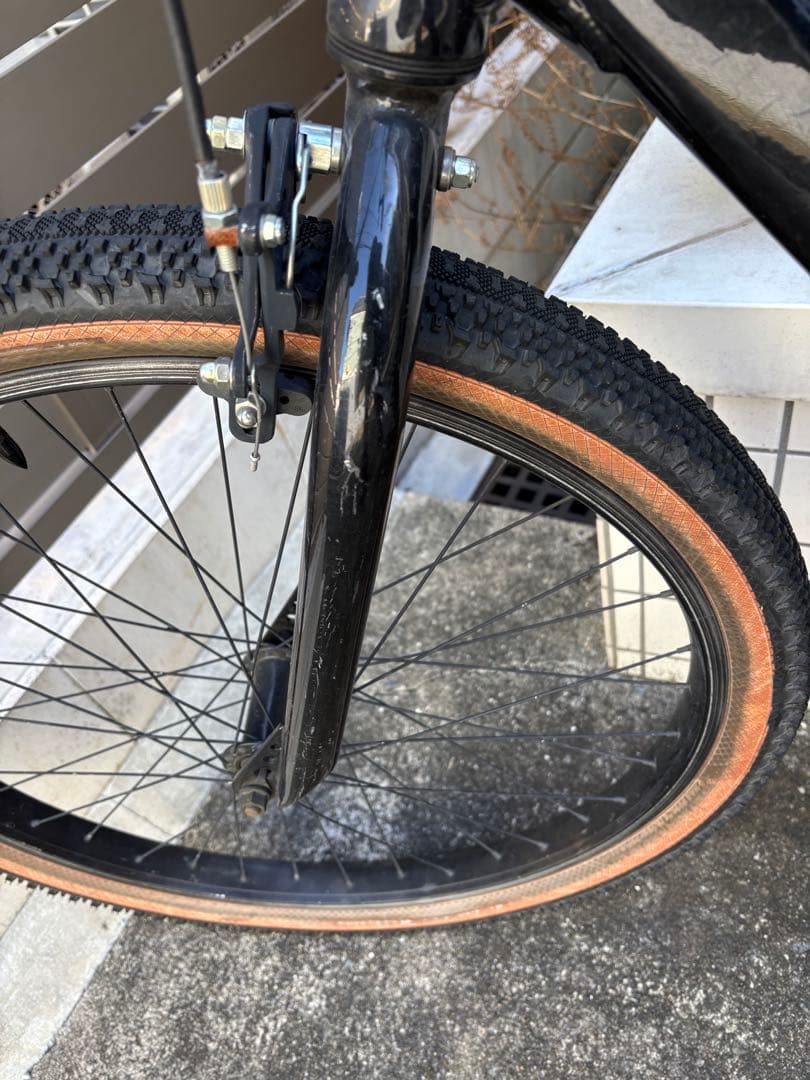 廃盤カラー SE BIKES / Big Flyer 29インチBMX ブラック
