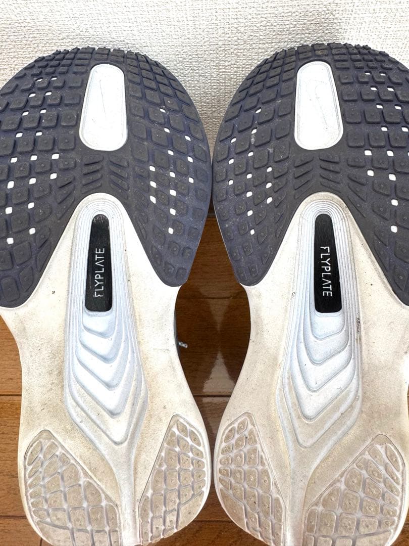 ズームフライ6 ZOOM FLY6 24cm
