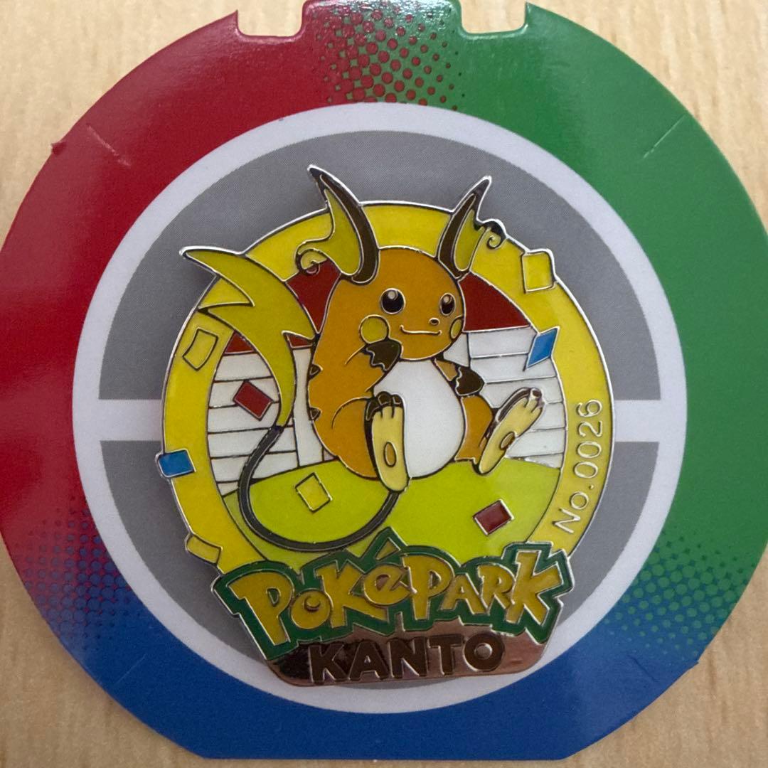 ポケパークカントー ピンバッジ ピンズ ピカチュウ ライチュウ 2個セット