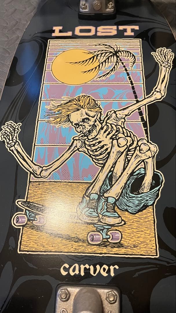 Lost Carver サーフスケートボード コンプリート