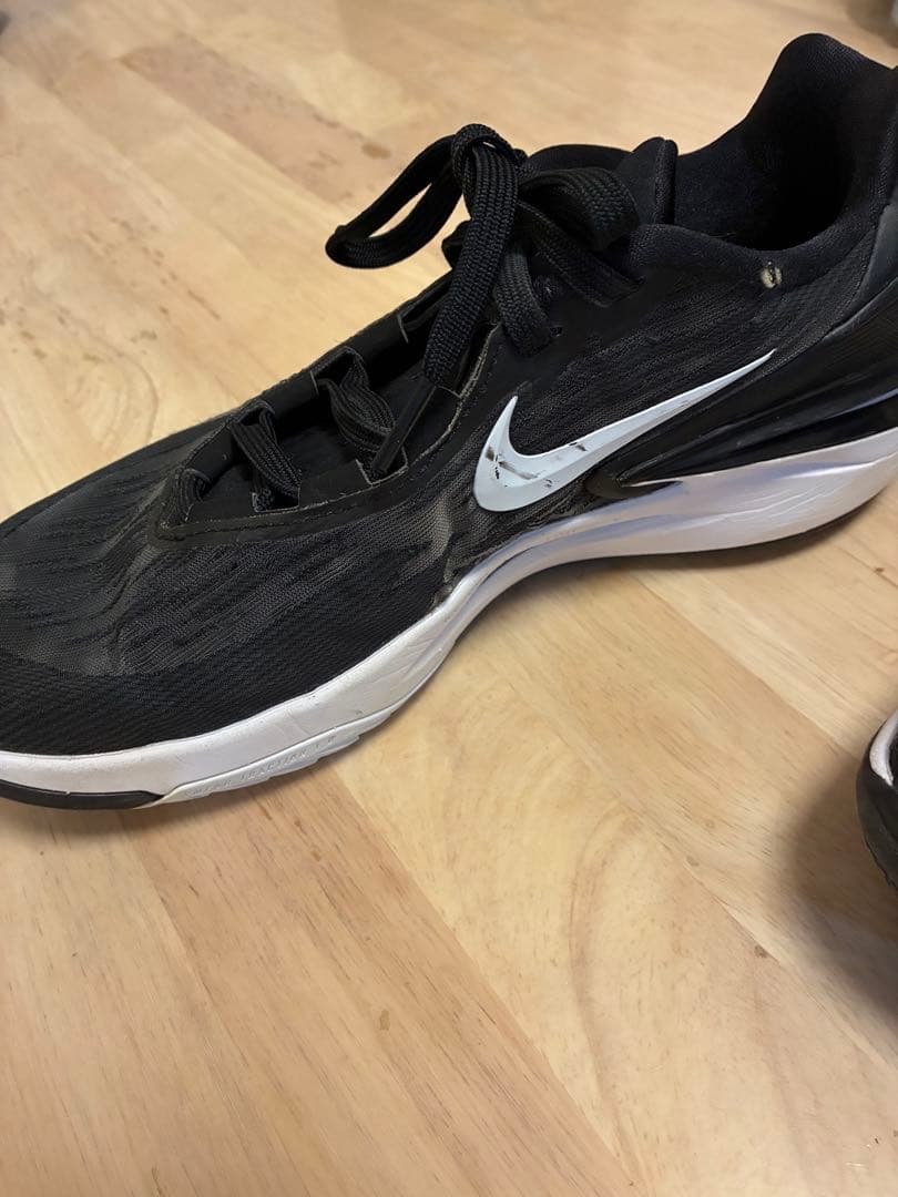 Nike zoom gt cut2 バスケットボール