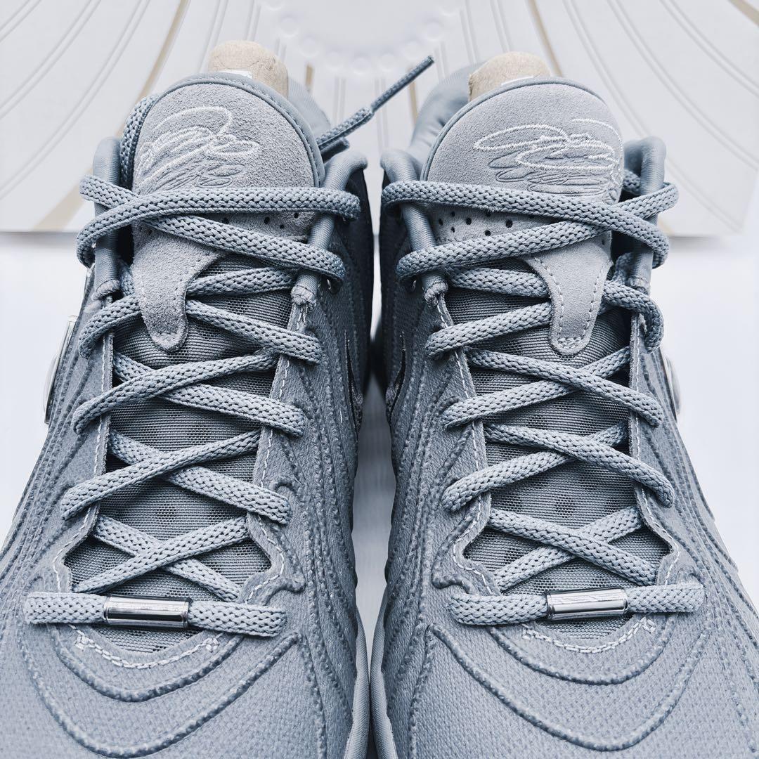 未使用級✨Nike LeBron XXI EP レブロン21 クールグレー　箱付