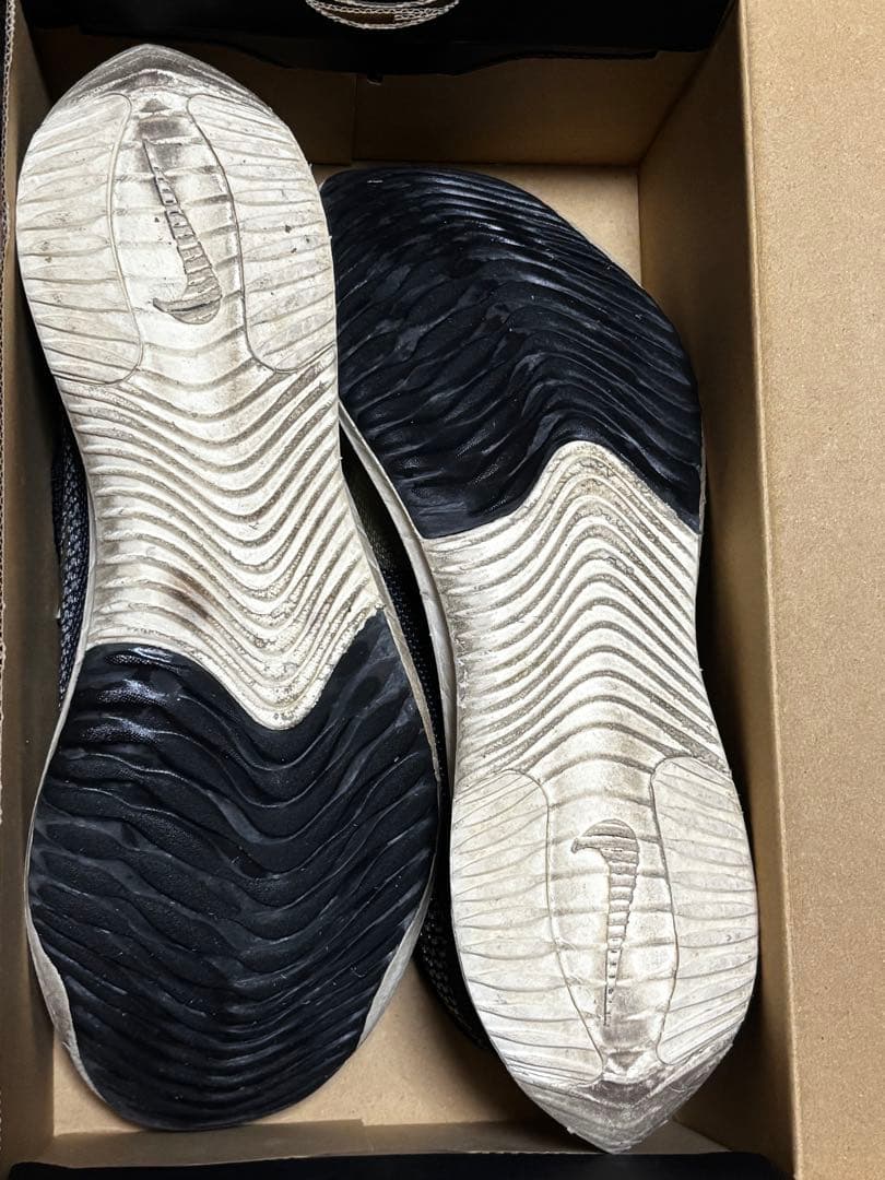ストリークフライ NIKE