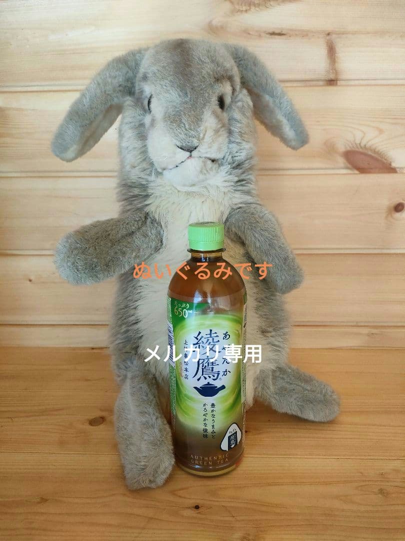 ウサギのパペット（ぬいぐるみ）マジシャン　スタンアレン　カードマジック