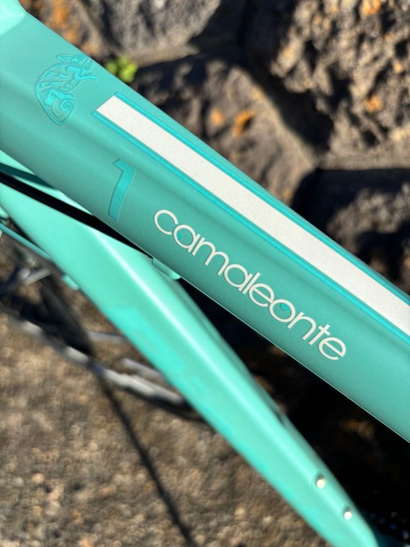 レアcamaleonte1付属品ペダルサドルライトベルスタンド