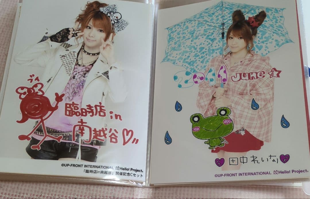 ハロプロ モーニング娘。 田中れいな 2L生写真 44枚セット まとめ売り 大量
