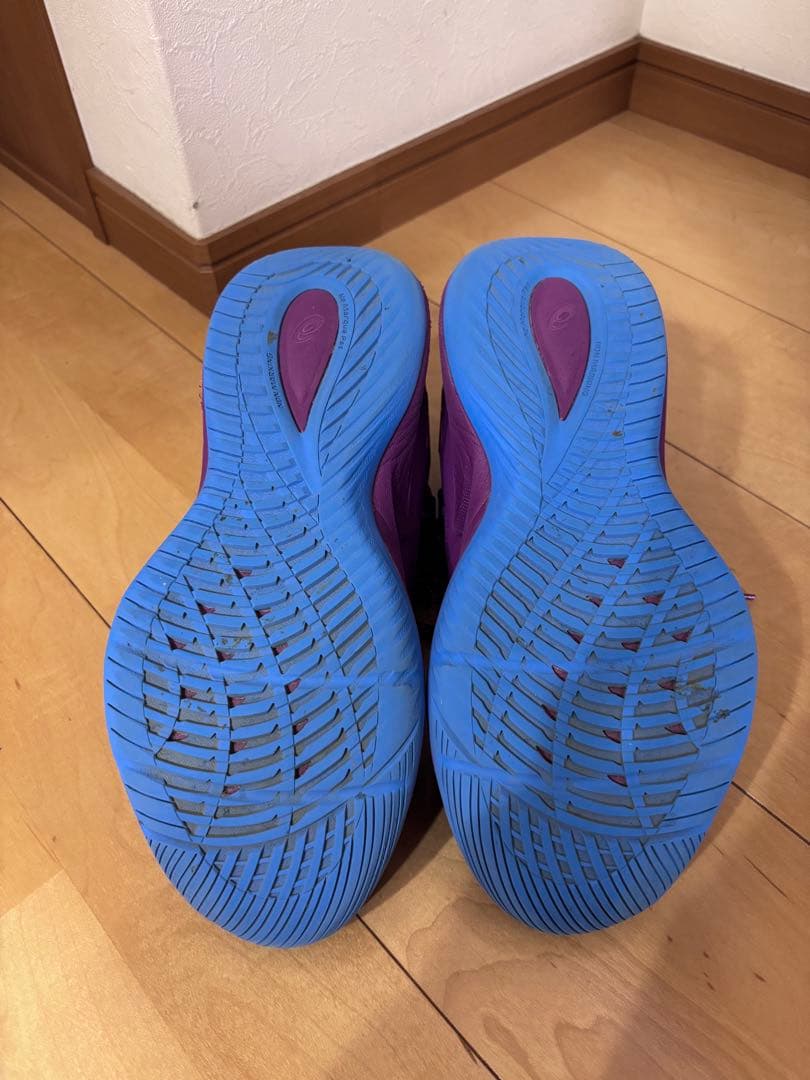 ノヴァサージロー2 NOVA SURGE low2