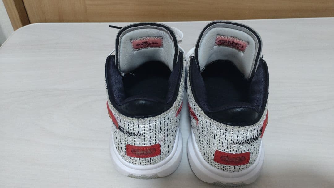 NIKE ナイキ　LEBLON20 レブロン20