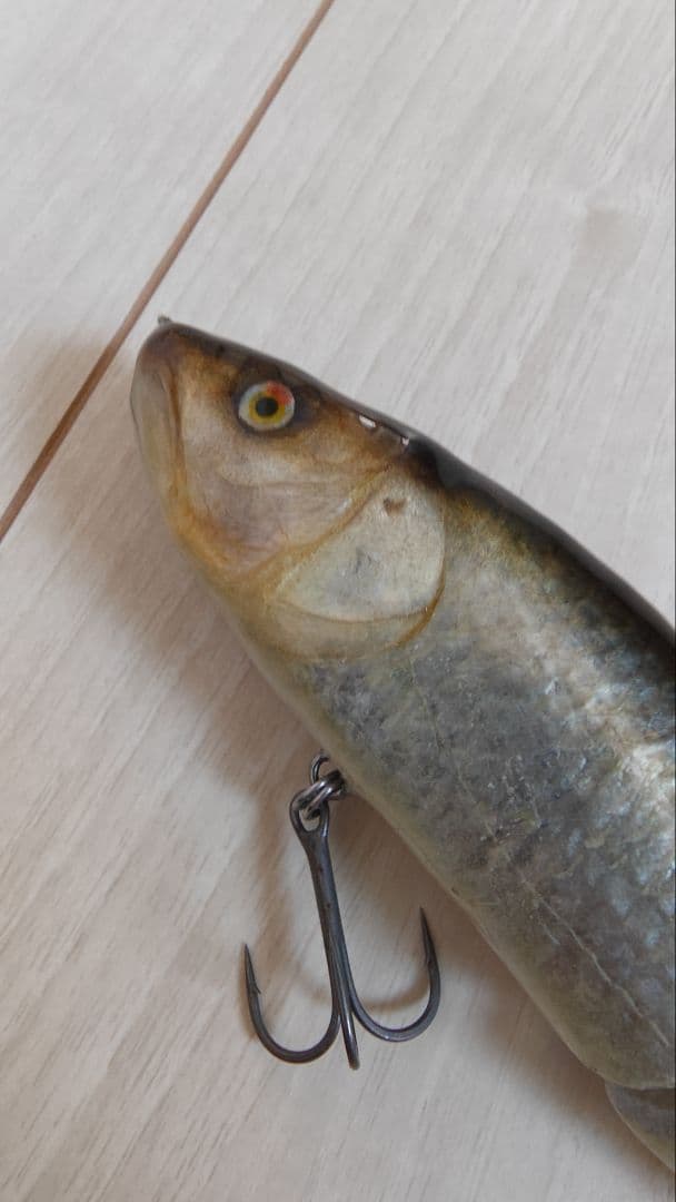 ガンクラフト ジョインテッドクロー　178　魚皮貼り　琵琶湖産ハス　値下げ不可
