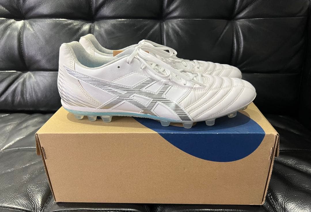 ASICS DS LIGHT AG L.E. ホワイト/シルバー　27.0