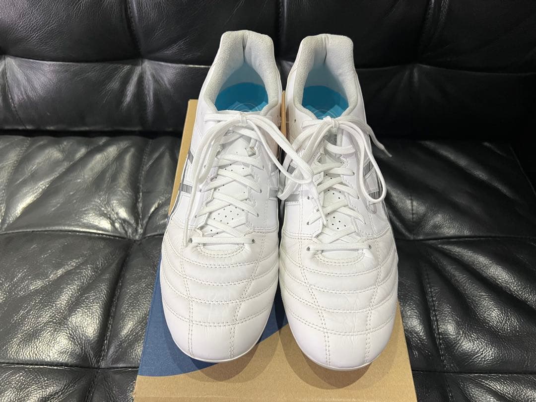 ASICS DS LIGHT AG L.E. ホワイト/シルバー　27.0