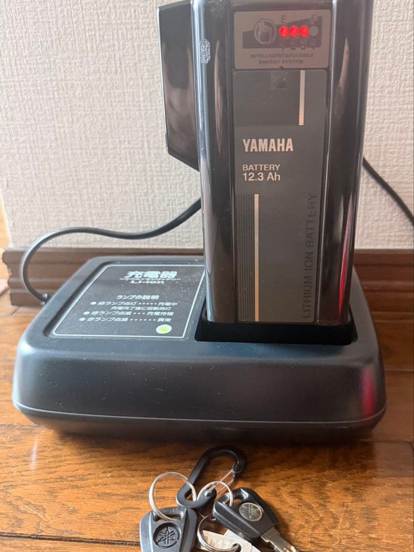 【直接取引⭕️】ヤマハ 子供乗せ電動自転車 PASS baby un 20インチ