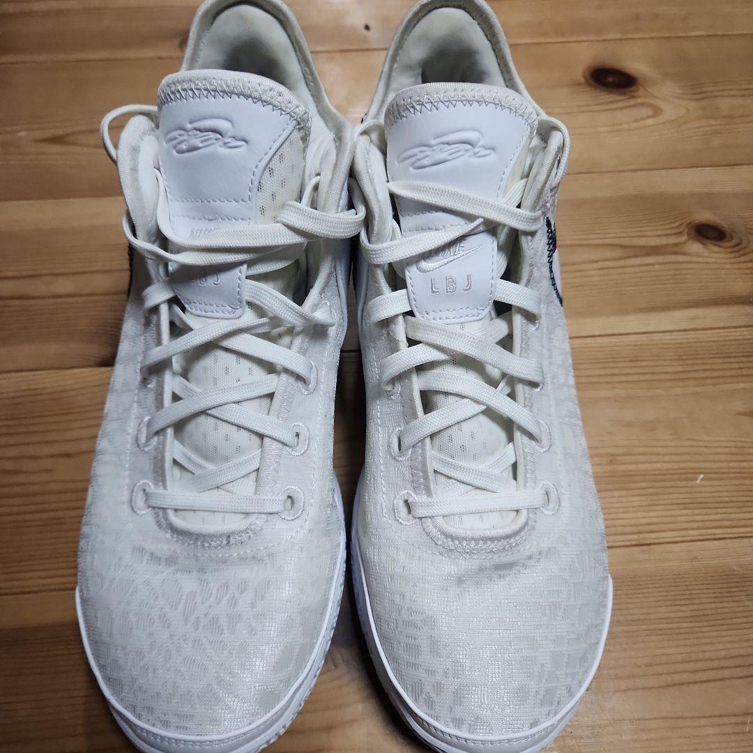 hamax 　NIKE　レブロン　NXXT GEN EP 29.0cm