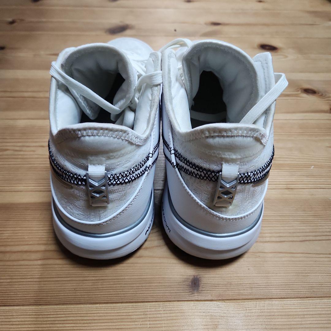 hamax 　NIKE　レブロン　NXXT GEN EP 29.0cm
