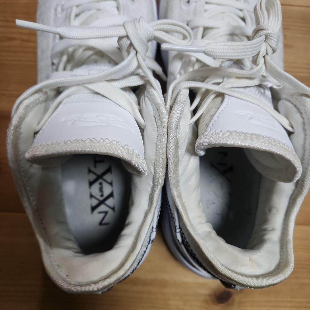 hamax 　NIKE　レブロン　NXXT GEN EP 29.0cm