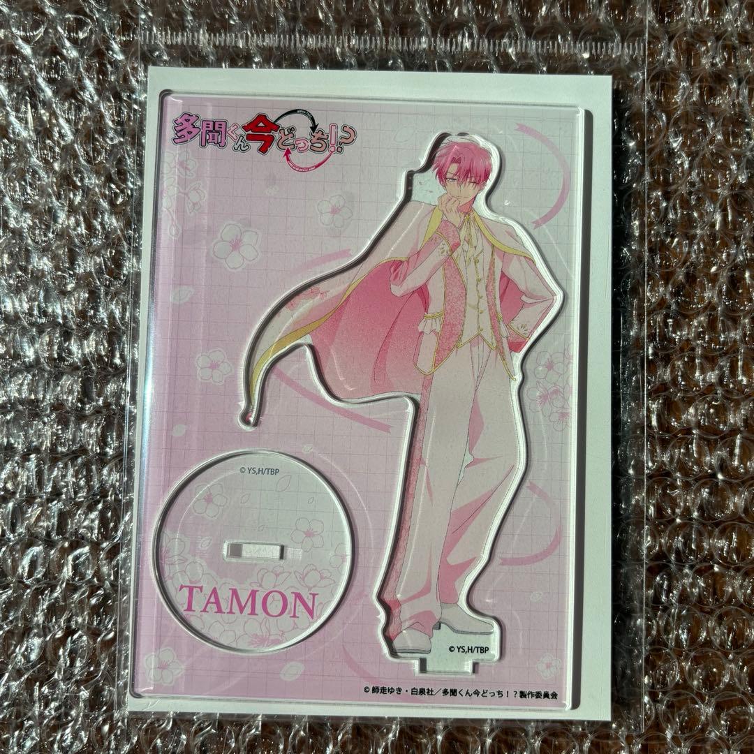 多聞くん今どっち！？ ドンキ 桜Ｖｅｒ．