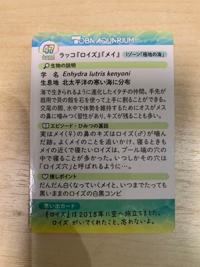 鳥羽水族館 TOBA AQUARIUMコレクションカードvol.2 メイロイズ