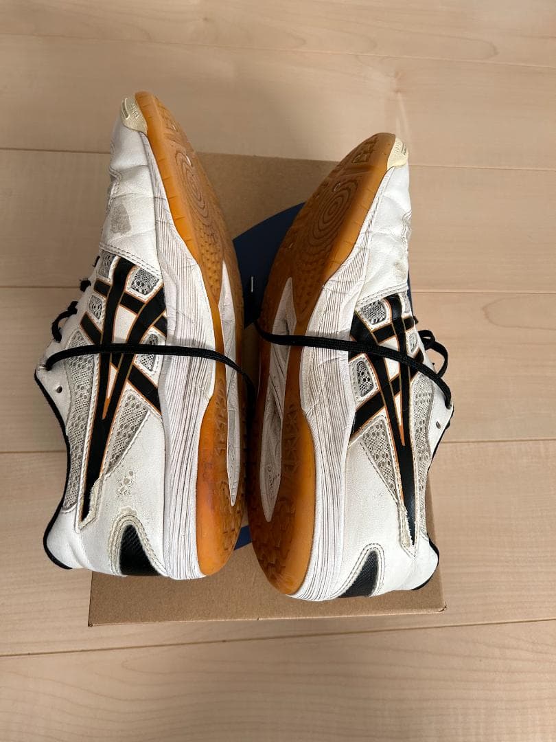 27.5cm アシックス（asics) バレーボールシューズ ローテジャパン