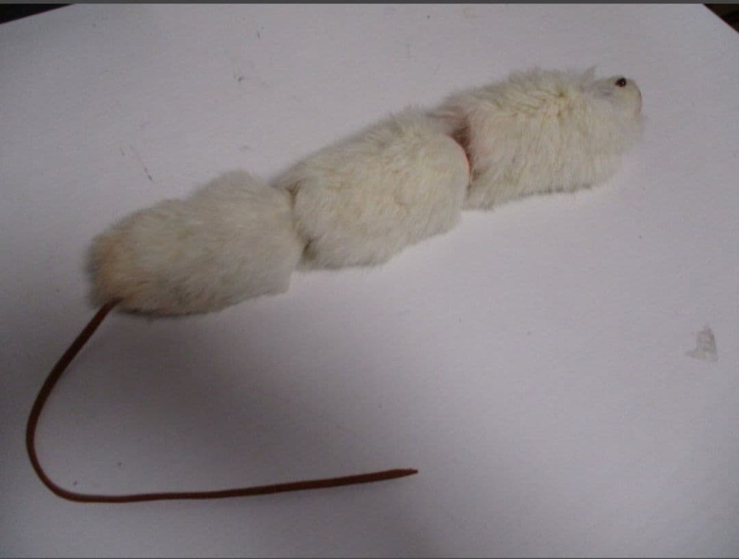 管理No.(361)　激レア特注　ムチョウワークス　３連ジョイントマウス60cm