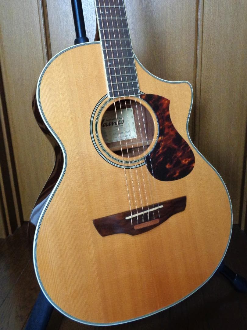 James J-400ACNAT　ジェームス　エレアコ　美品！　純正ケース付属