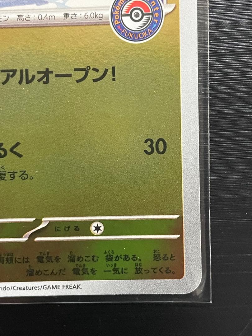 フクオカのピカチュウ