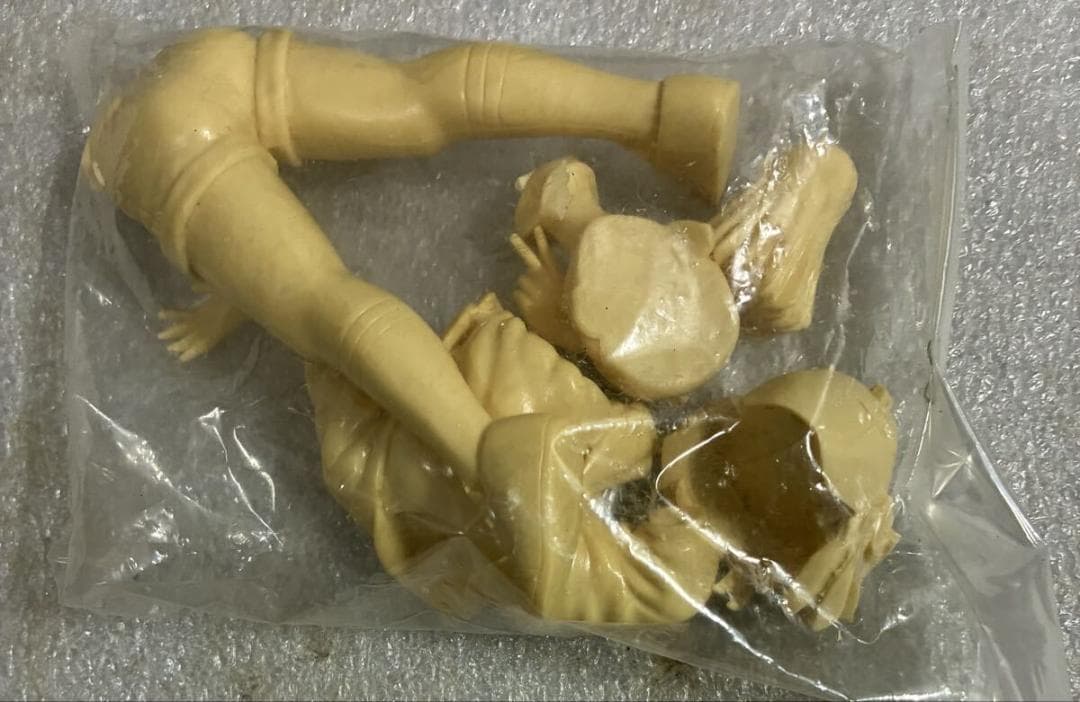 ムサシヤ 絶対無敵ライジンオー 白鳥マリア 1/8 ガレージキット 箱シミ