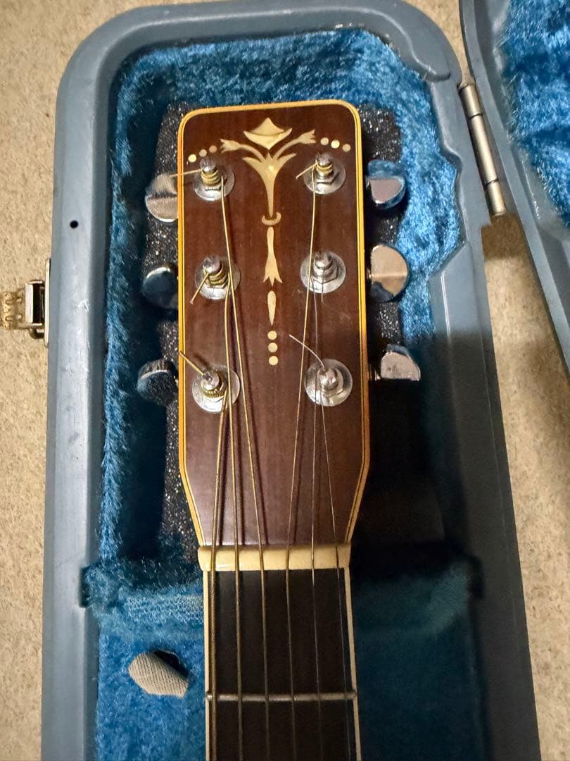ギター Cats Eyes CE-1000 Made by Tokai Gakki