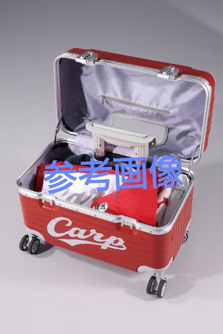 カープパイロットケース！限定完売品！