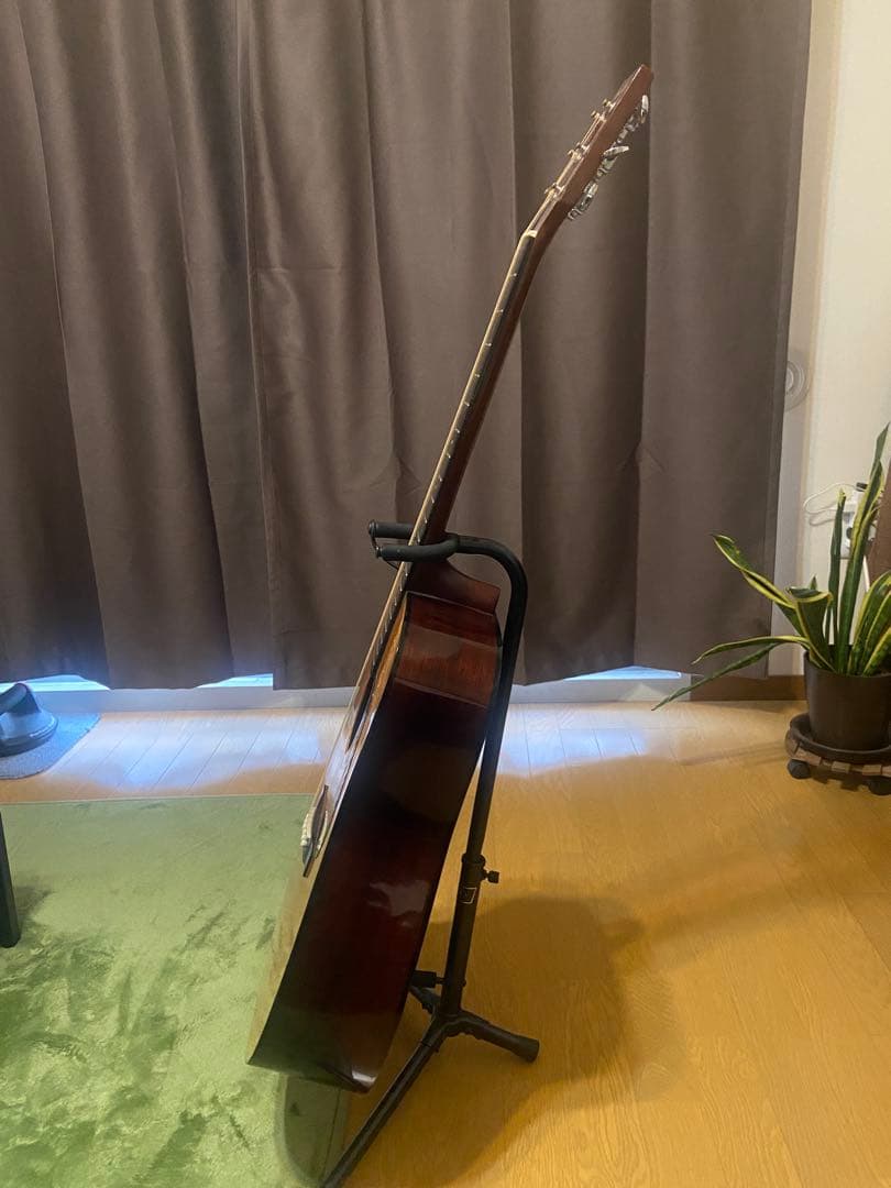 アコースティックギター スプルースボディ 6弦　モーリス