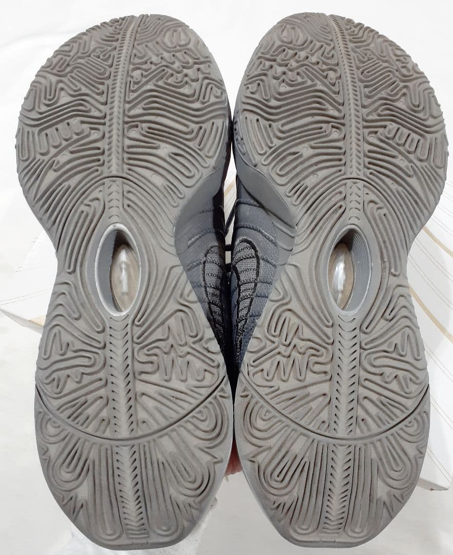 NIKE LEBRON XXI ナイキ レブロン 21 スニーカー バッシュ