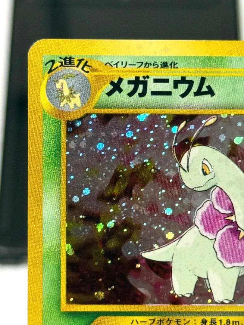 メガニウム HP100 2進化ポケモン