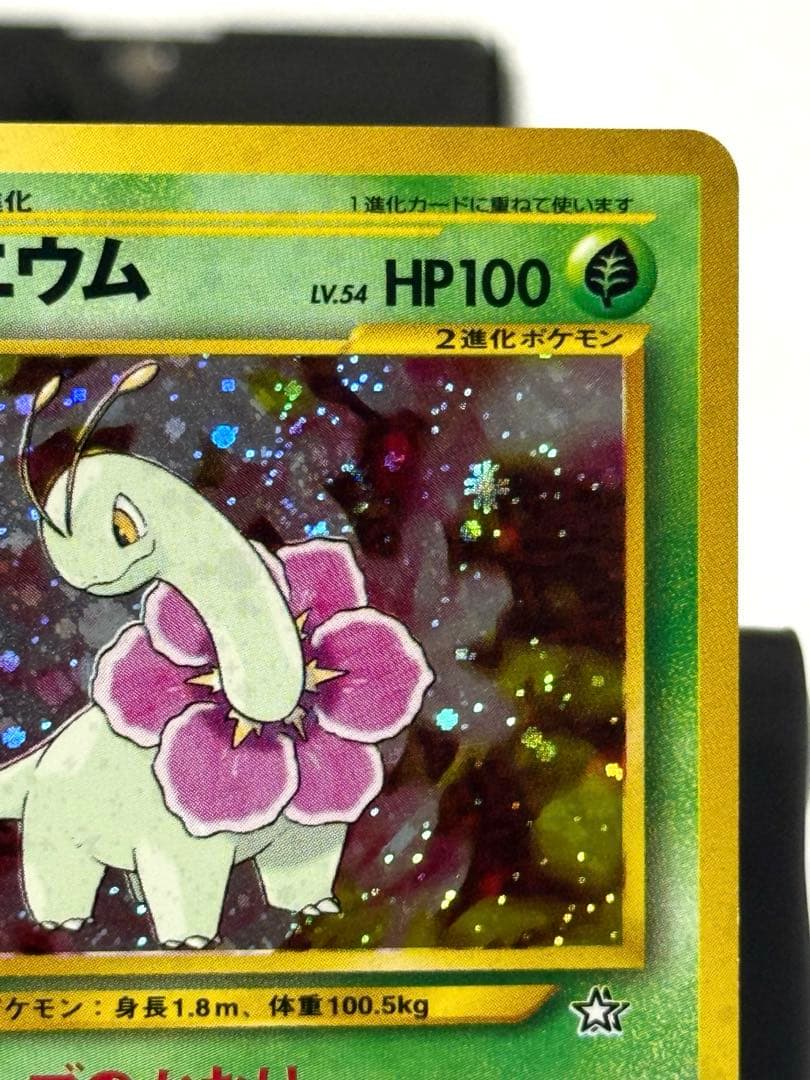 メガニウム HP100 2進化ポケモン