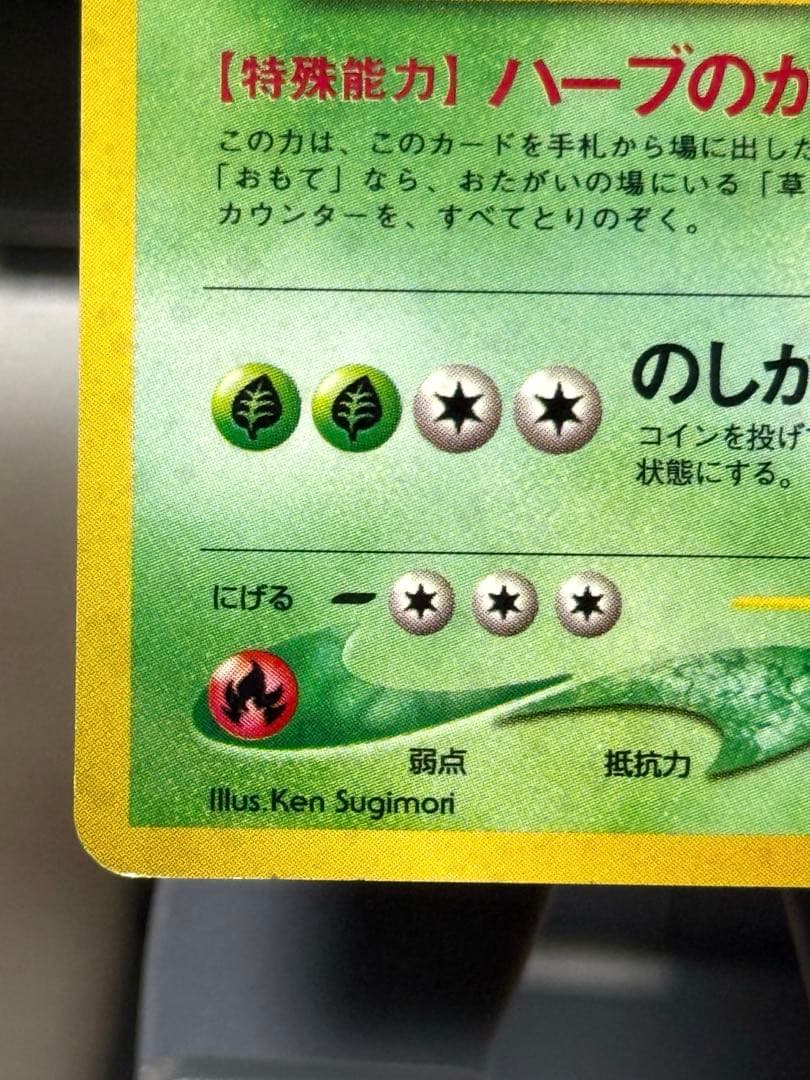 メガニウム HP100 2進化ポケモン