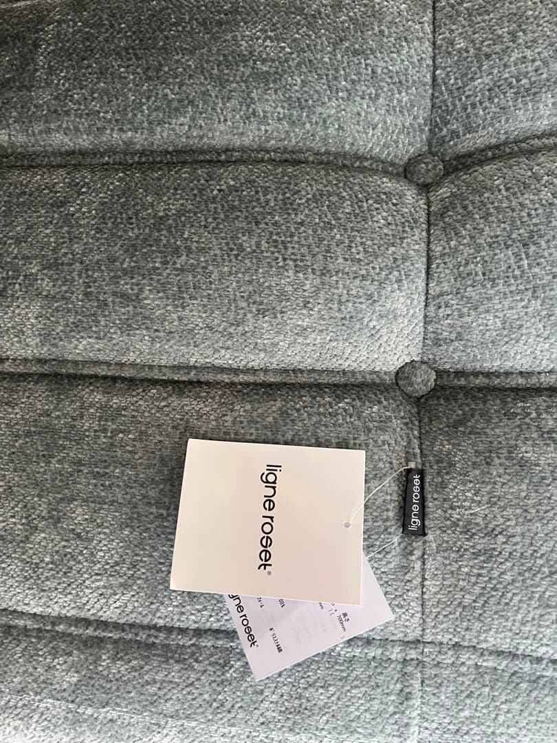 SALE❗️ligne roset ROSETTOGO 2P グリーン　ブルー