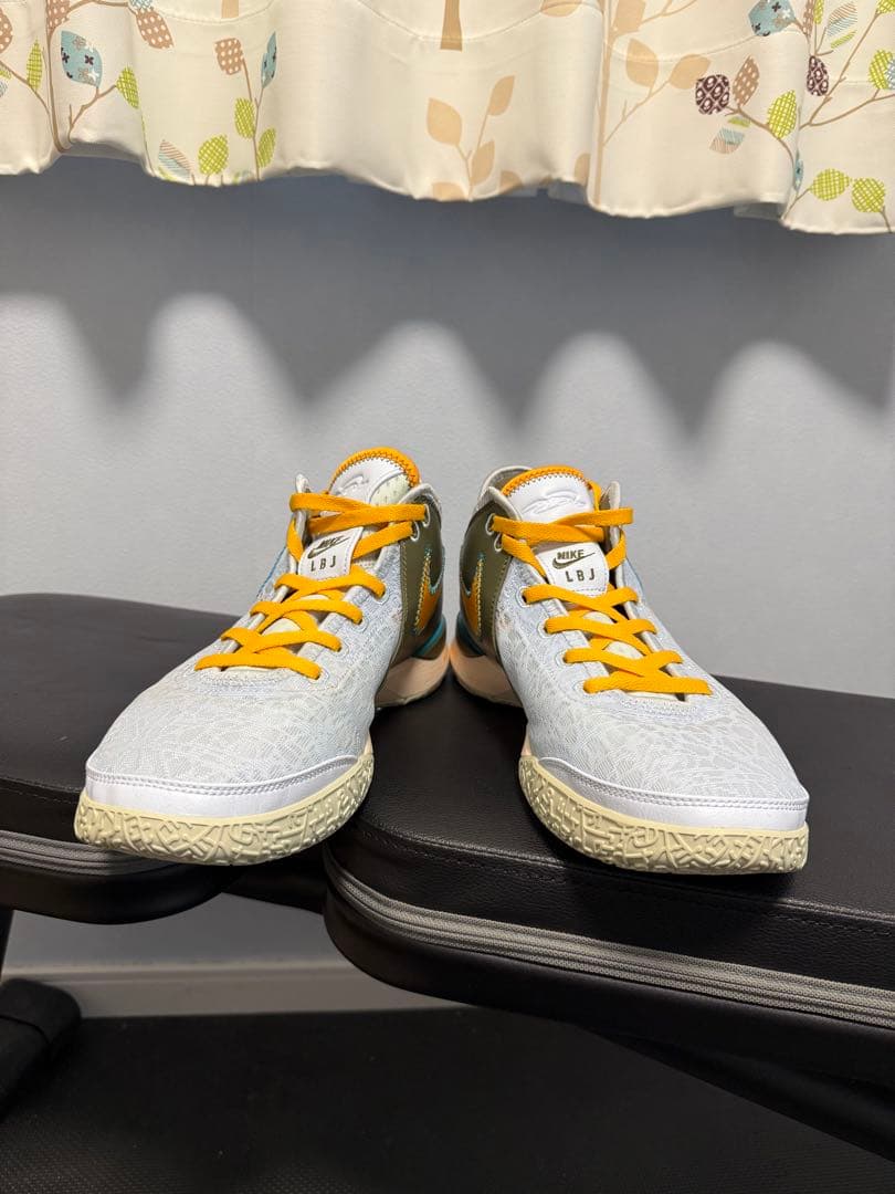 シューズ(男性用) NIKE LEBRON NXXT GEN EP