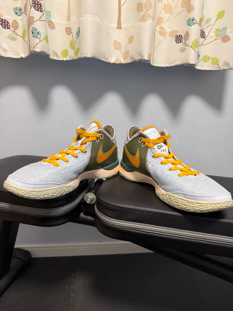 シューズ(男性用) NIKE LEBRON NXXT GEN EP
