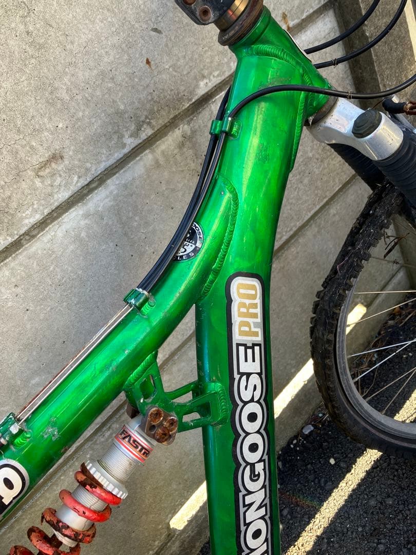 自転車本体 MON