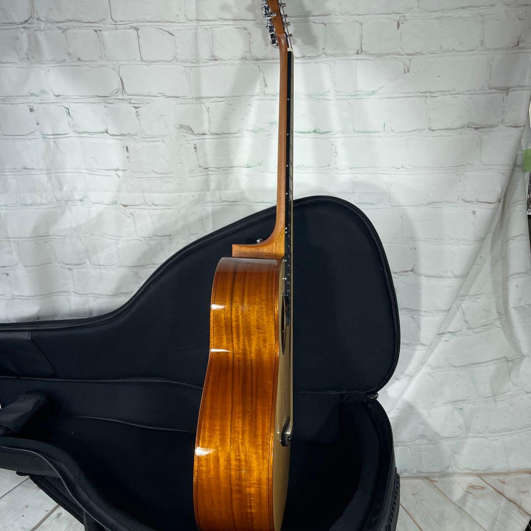 aNueNue BIRD M52 アコースティックギター
