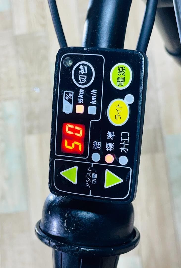 2019 激レア ビッケ ブリヂストン　子供乗せ電動アシスト自転車 ZH2803