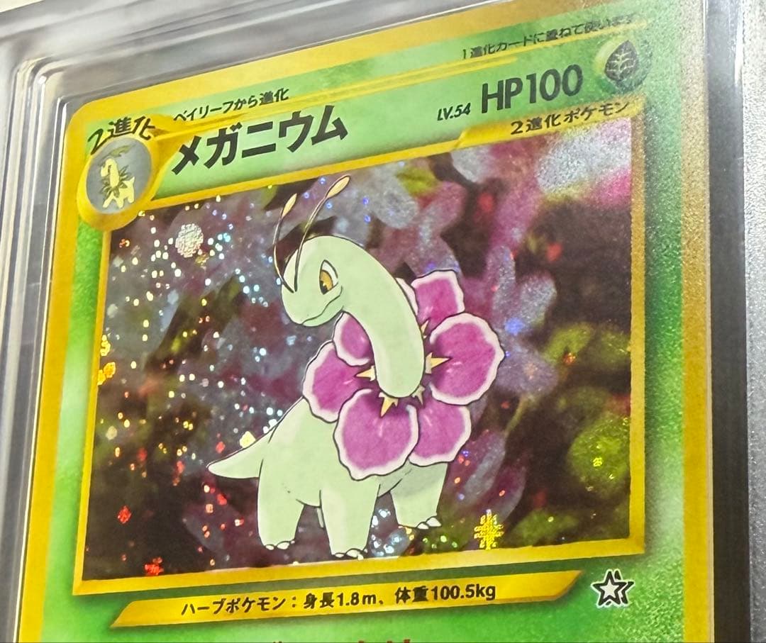 ARS10 メガニウム 旧裏面 ポケモンカード neo プレミアムファイル
