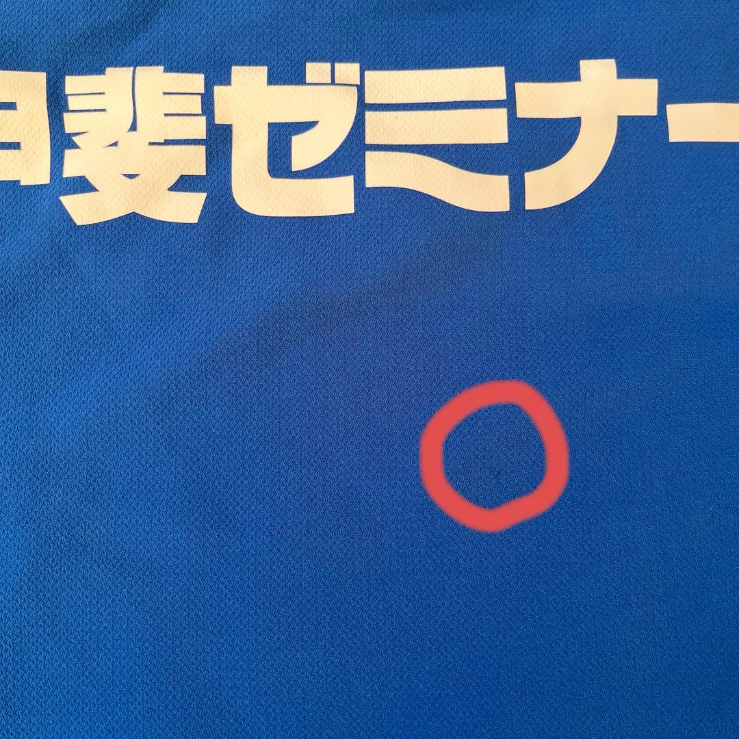 ヴァンフォーレ甲府　ウェア　ピステ　Lサイズ