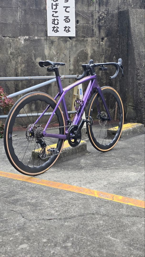 自転車本体 Trek Domane SL5